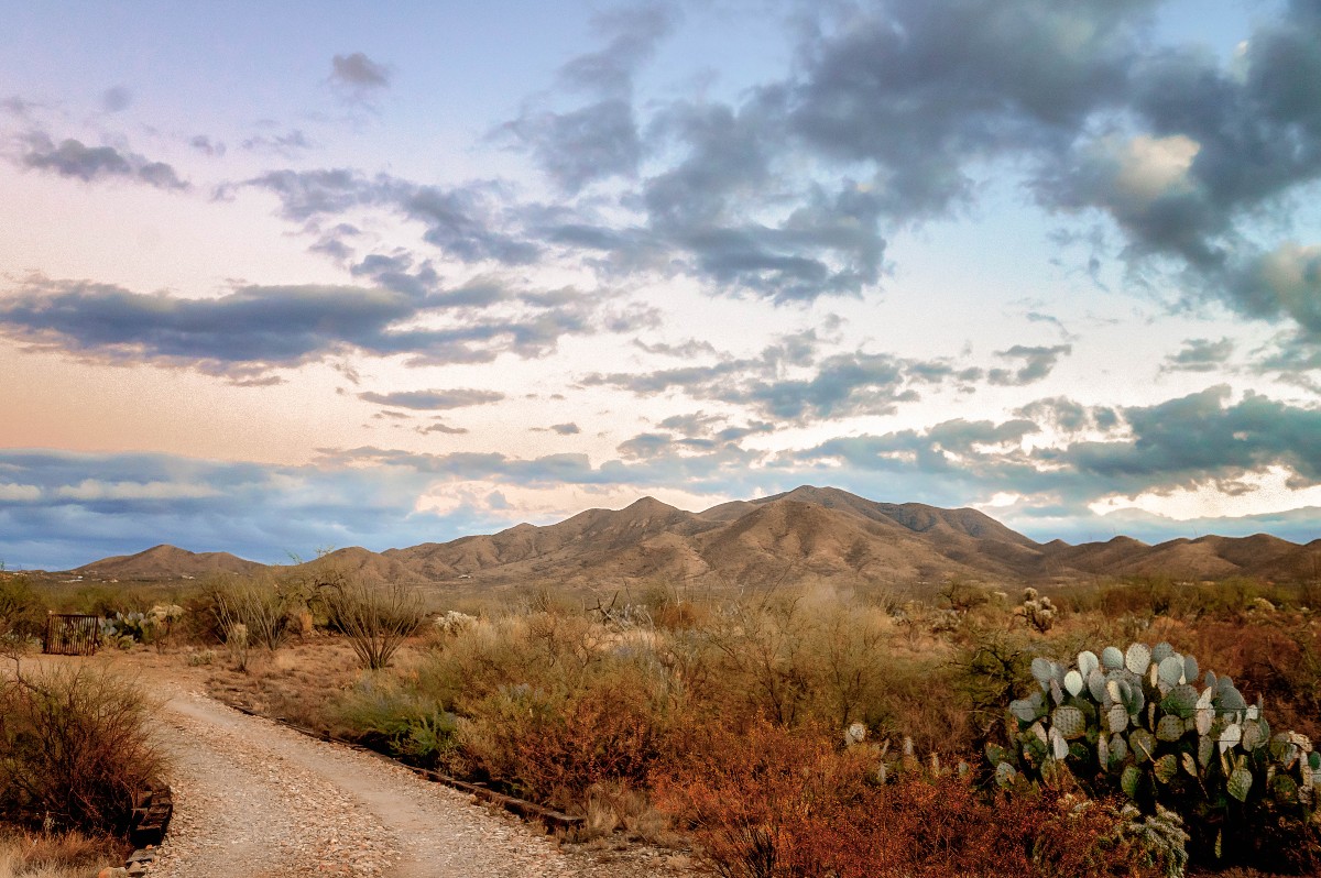 Corona de Tucson